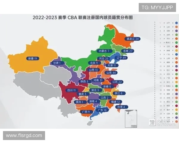 重庆地区未来是否会拥有CBA球队的探讨 重庆地区未来是否会拥有CBA球队的探讨