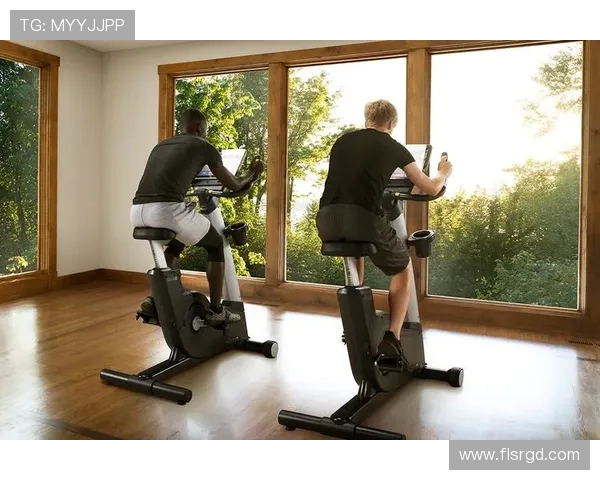 针对背部和腰部锻炼的健身器材推荐