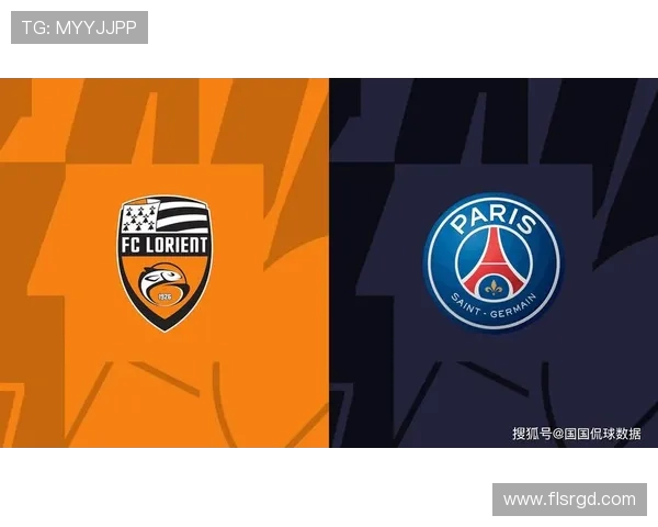 法甲里昂球队市值排名及其在法甲的定位